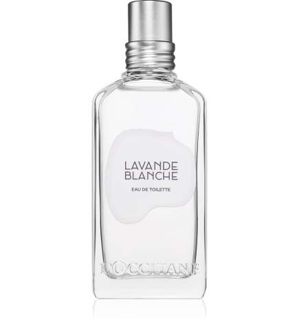 Lavande Blanche