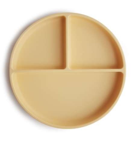Silicone Suction Plate