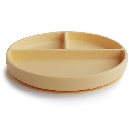Silicone Suction Plate