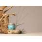 Sea Essence Detox Therapy Sea Essence Detox Therapy