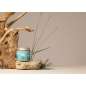 Sea Essence Detox Therapy Sea Essence Detox Therapy