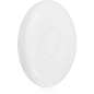 White White