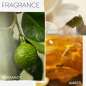 Strength Cure Strength Cure