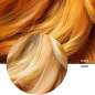 PLEX Blonde Boost Shampoo. Step 4B PLEX Blonde Boost Shampoo. Step 4B