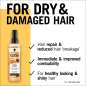 Gliss Total Repair