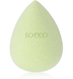 Complexion Sponge