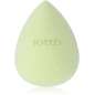 Complexion Sponge