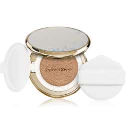 Perfecting Cushion