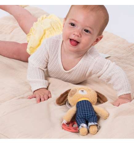 Activity Toy Daniel the Dog