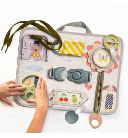 Snap'n Learn Board