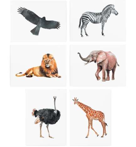 Temporary Tattoos Set Animals