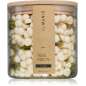 Moss Moss