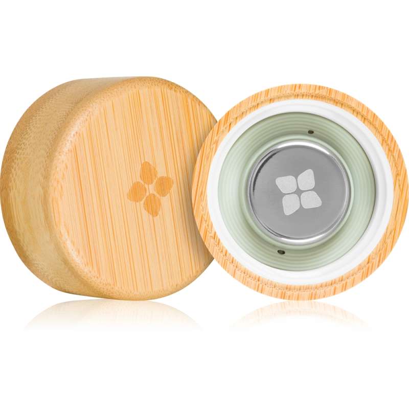 Bamboo