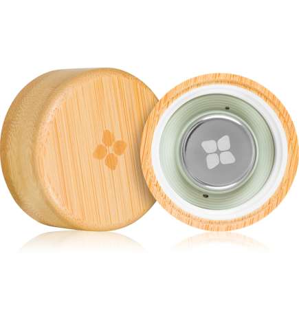 Bamboo