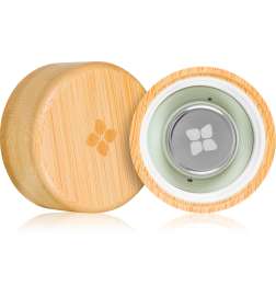 Bamboo