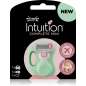 Intuition Complete Mini