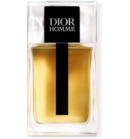 Dior Homme