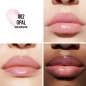 Dior Addict Lip Maximizer