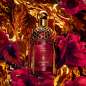 Absolus Allegoria Rose Amira Absolus Allegoria Rose Amira