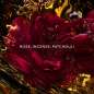 Absolus Allegoria Rose Amira Absolus Allegoria Rose Amira