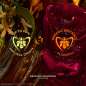 Absolus Allegoria Rose Amira Absolus Allegoria Rose Amira