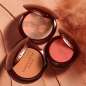 Terracotta Blush