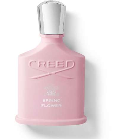 Spring Flower