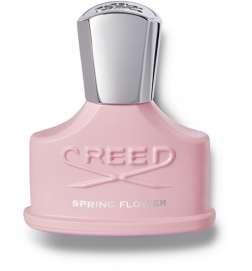 Spring Flower