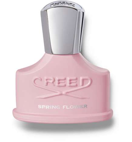 Spring Flower