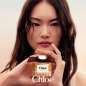 Chloé Le Parfum Chloé Le Parfum