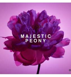 Flowerbomb
