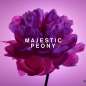 Flowerbomb
