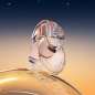 Omnia Crystalline Omnia Crystalline