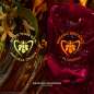 Absolus Allegoria Rose Amira Absolus Allegoria Rose Amira