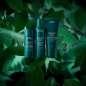 Botanical Repair™ Pre-Shampoo