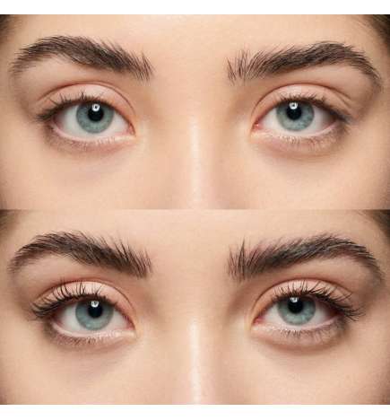 The Essential Brow