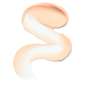 The Perfector Poreless Blur