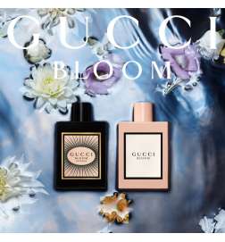 Bloom
