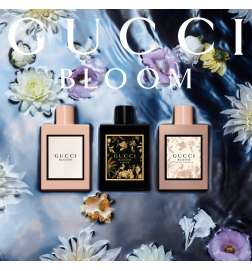 Bloom